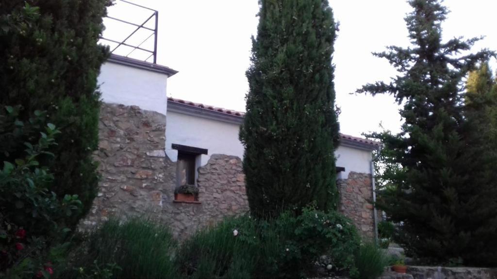 Vila Casas De Almajar Prado Del Rey Exteriér fotografie