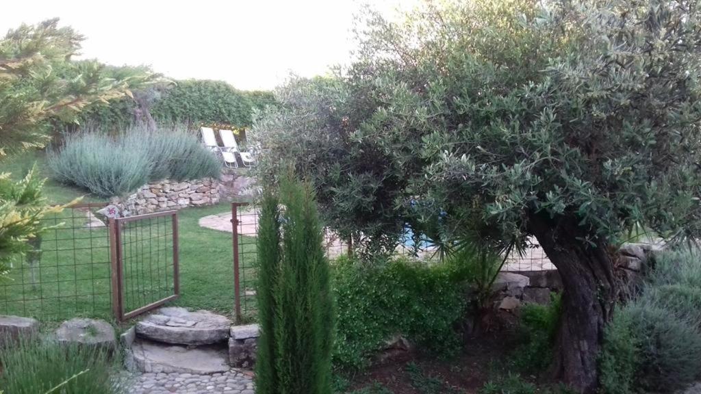 Vila Casas De Almajar Prado Del Rey Exteriér fotografie