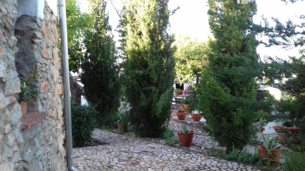 Vila Casas De Almajar Prado Del Rey Exteriér fotografie