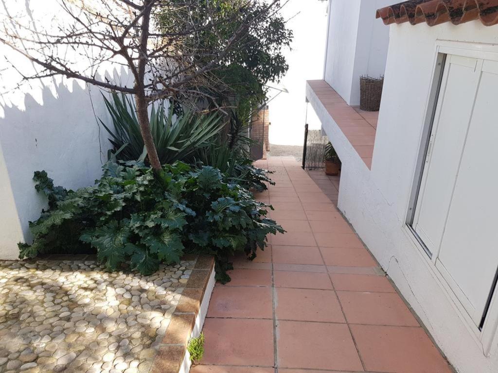 Vila Casas De Almajar Prado Del Rey Exteriér fotografie