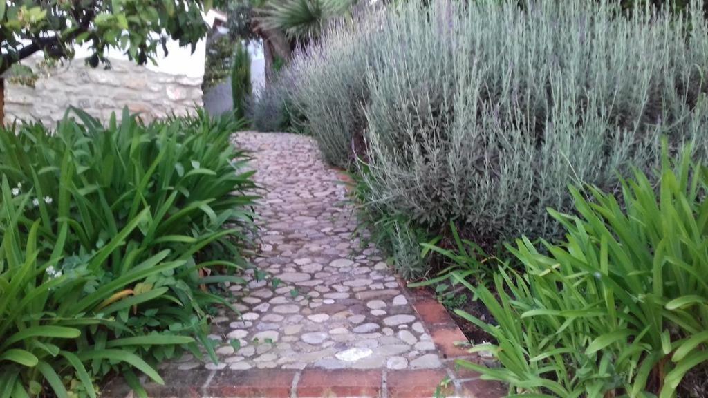 Vila Casas De Almajar Prado Del Rey Exteriér fotografie