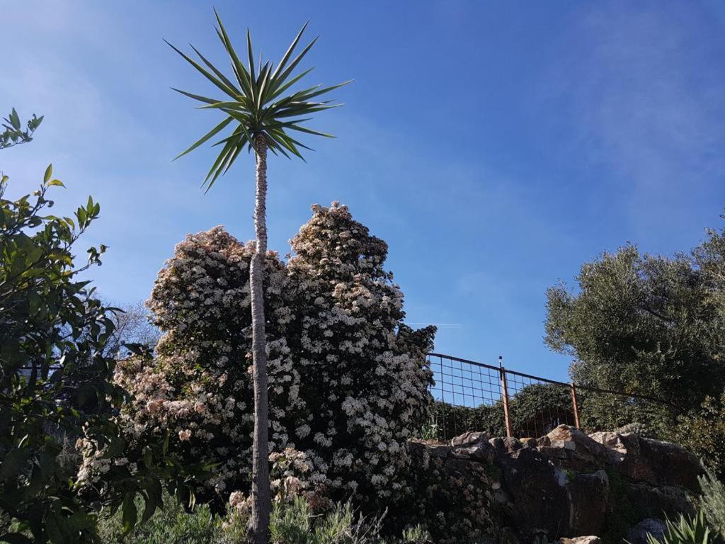 Vila Casas De Almajar Prado Del Rey Exteriér fotografie