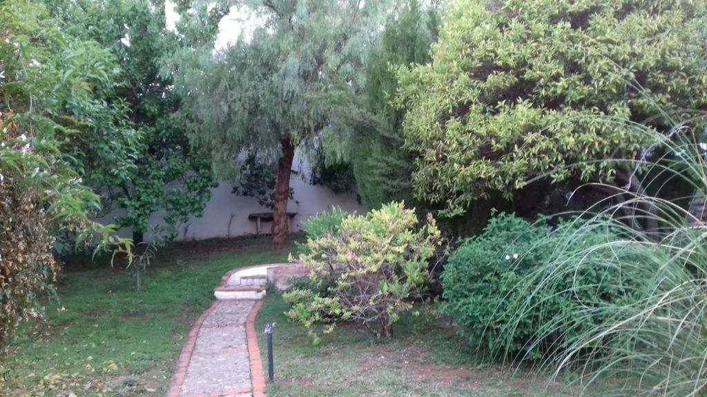 Vila Casas De Almajar Prado Del Rey Exteriér fotografie