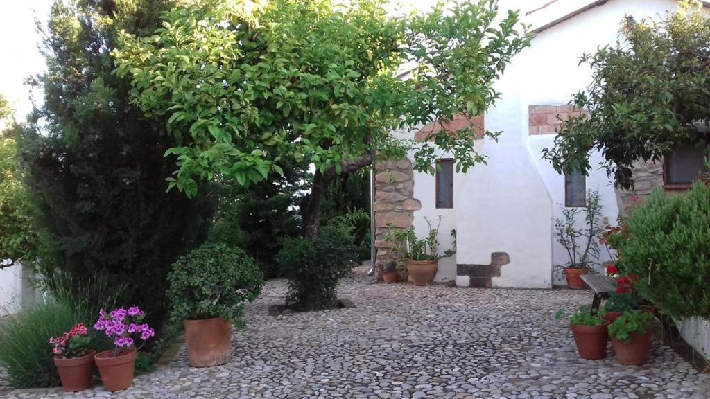 Vila Casas De Almajar Prado Del Rey Exteriér fotografie