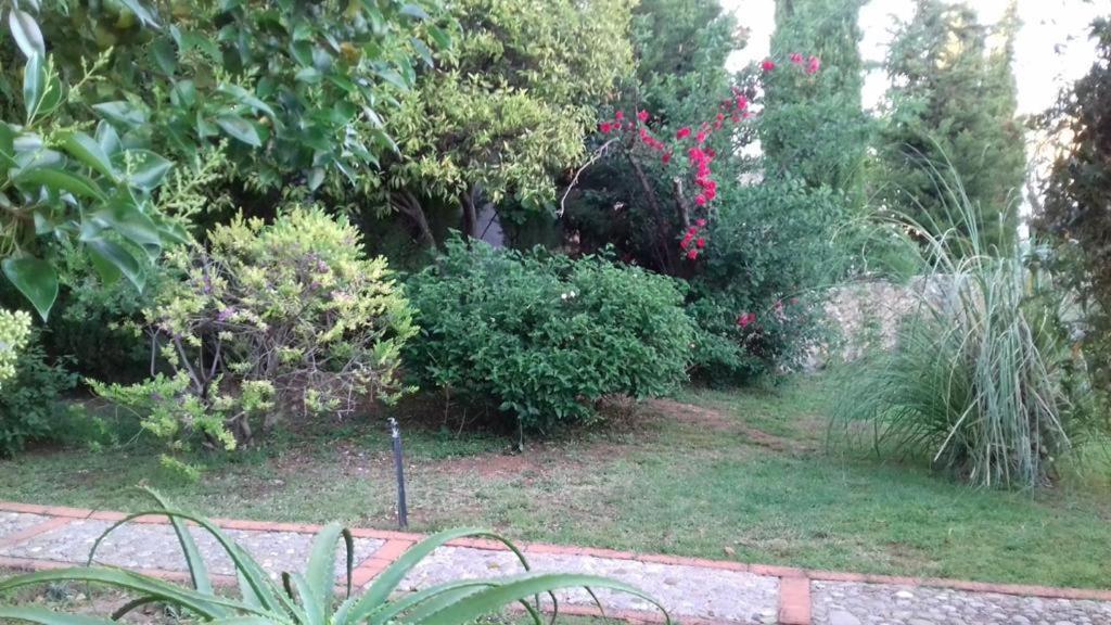 Vila Casas De Almajar Prado Del Rey Exteriér fotografie