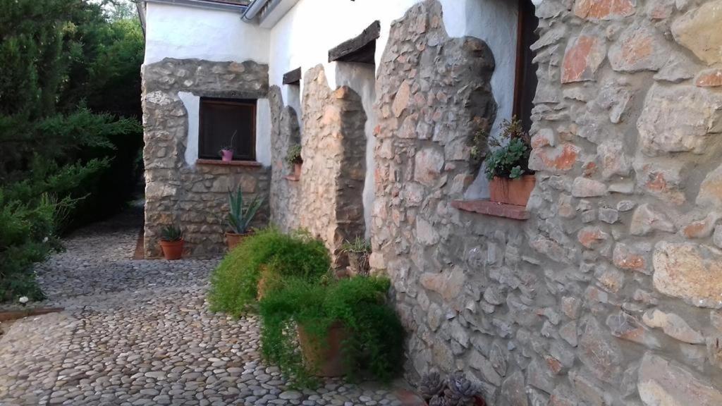 Vila Casas De Almajar Prado Del Rey Exteriér fotografie